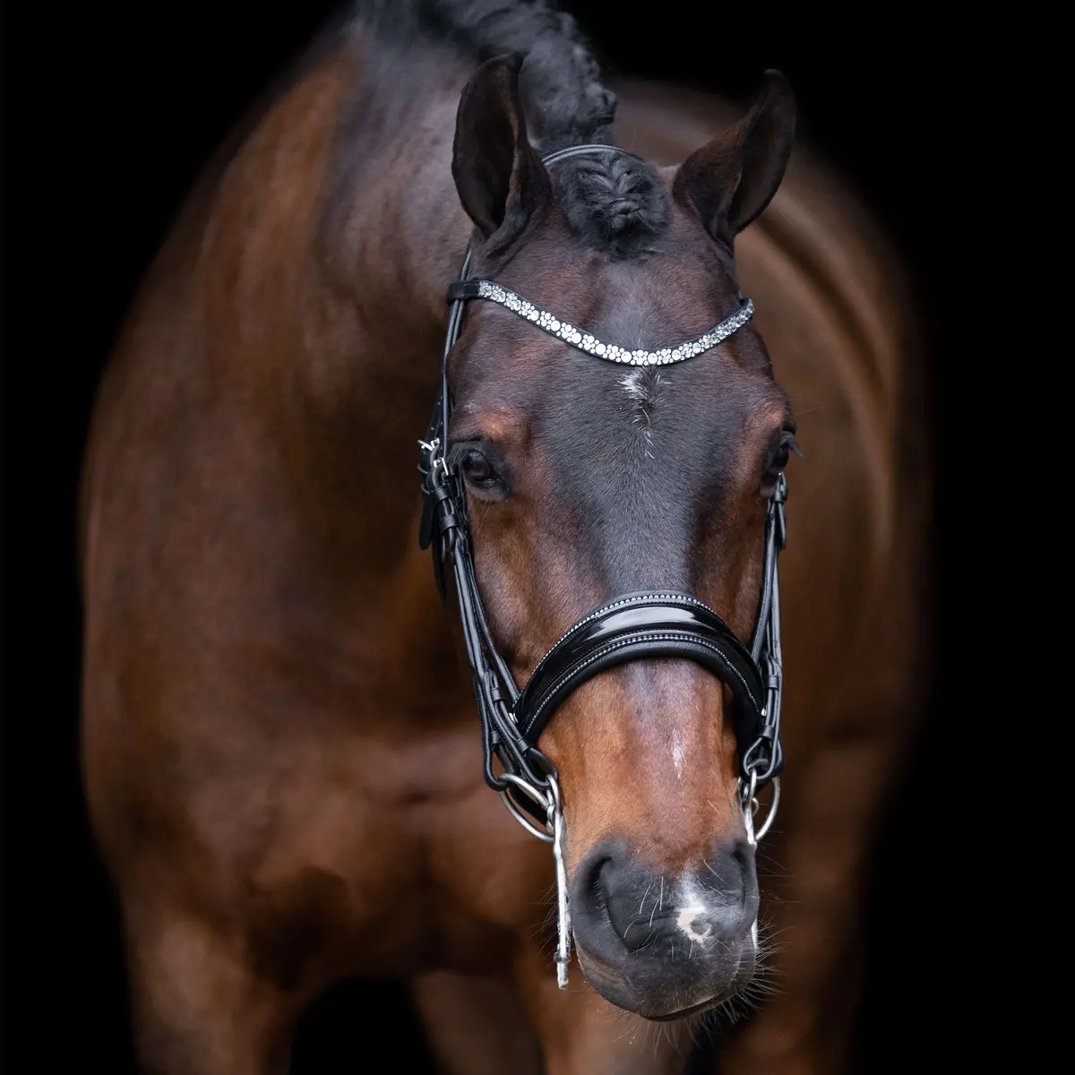 Imperial Riding Stang- En Trenshoofdstel Irholympia Zwart/Zilver 1