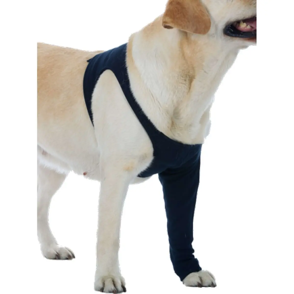 Medical Pet Shirt Taz Voorpoot Mouwtje Hond Blauw 1