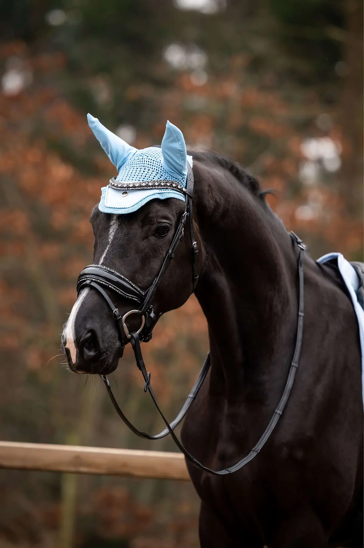 Hb Showtime Oornetje Spring Lichtblauw 1