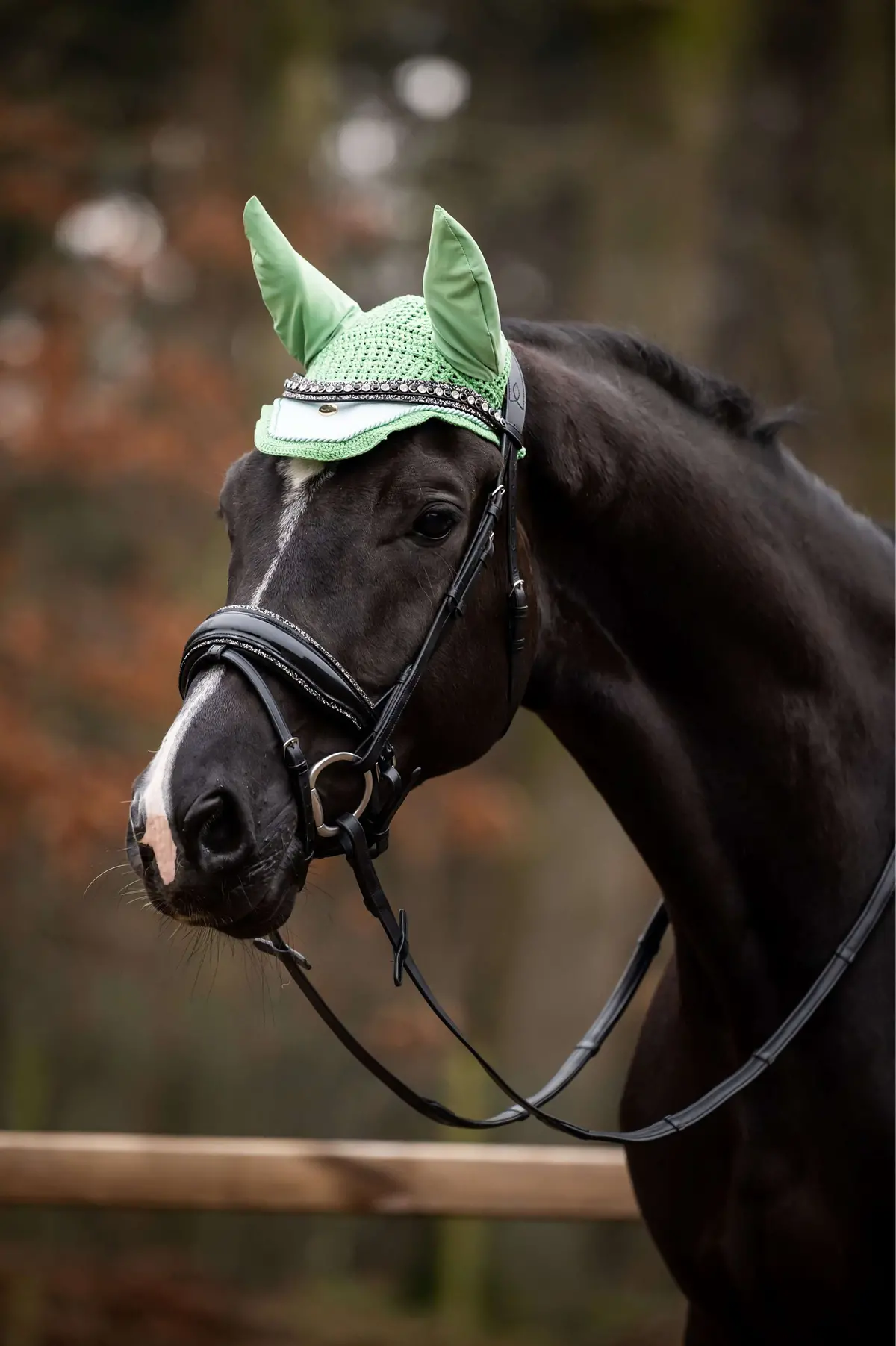 Hb Showtime Oornetje Spring Mintgroen 1