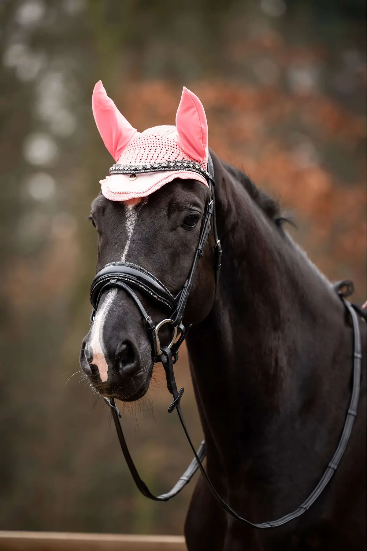 Hb Showtime Oornetje Spring Roze 1