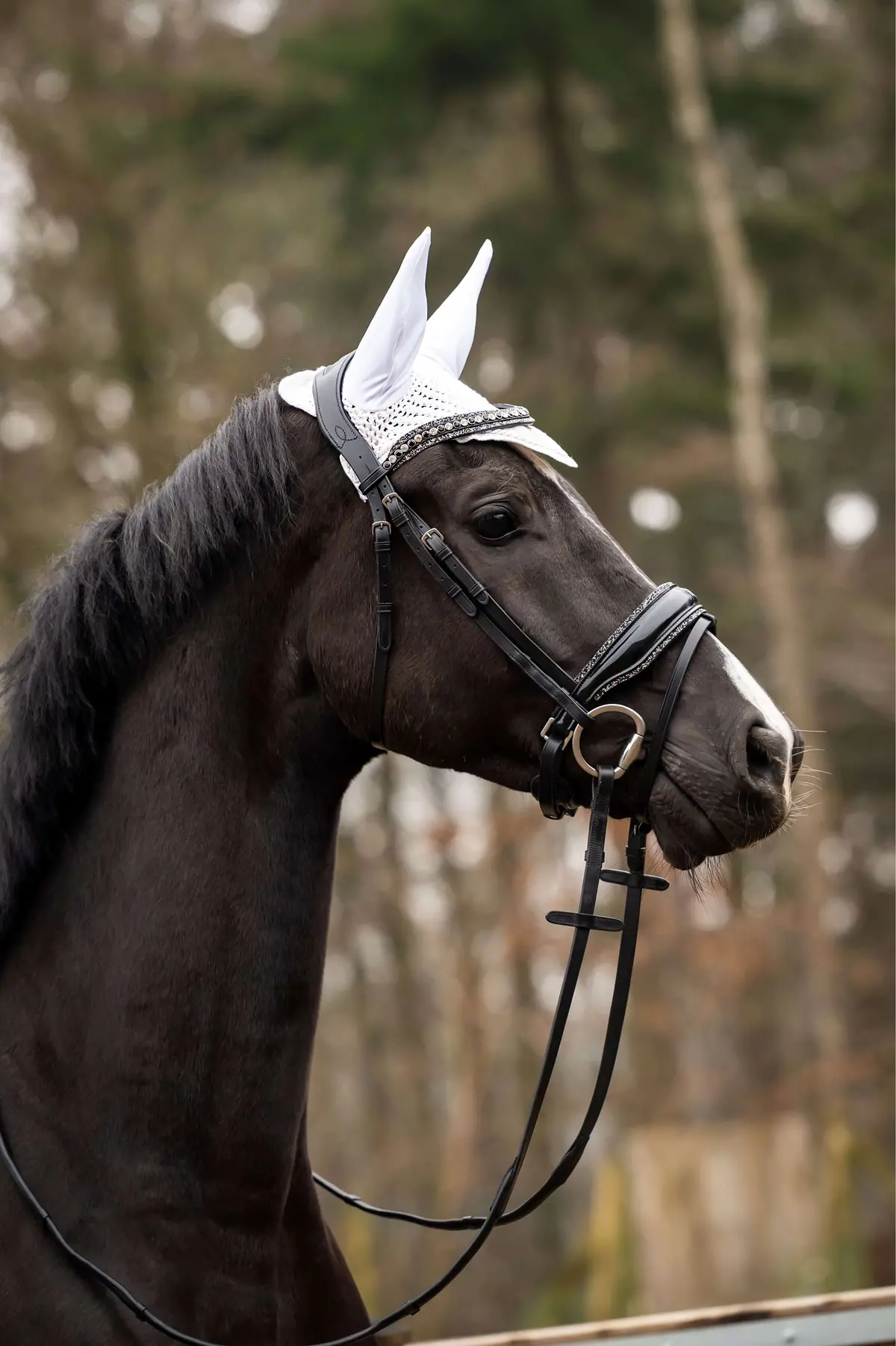 Hb Showtime Oornetje Spring Zilver 1