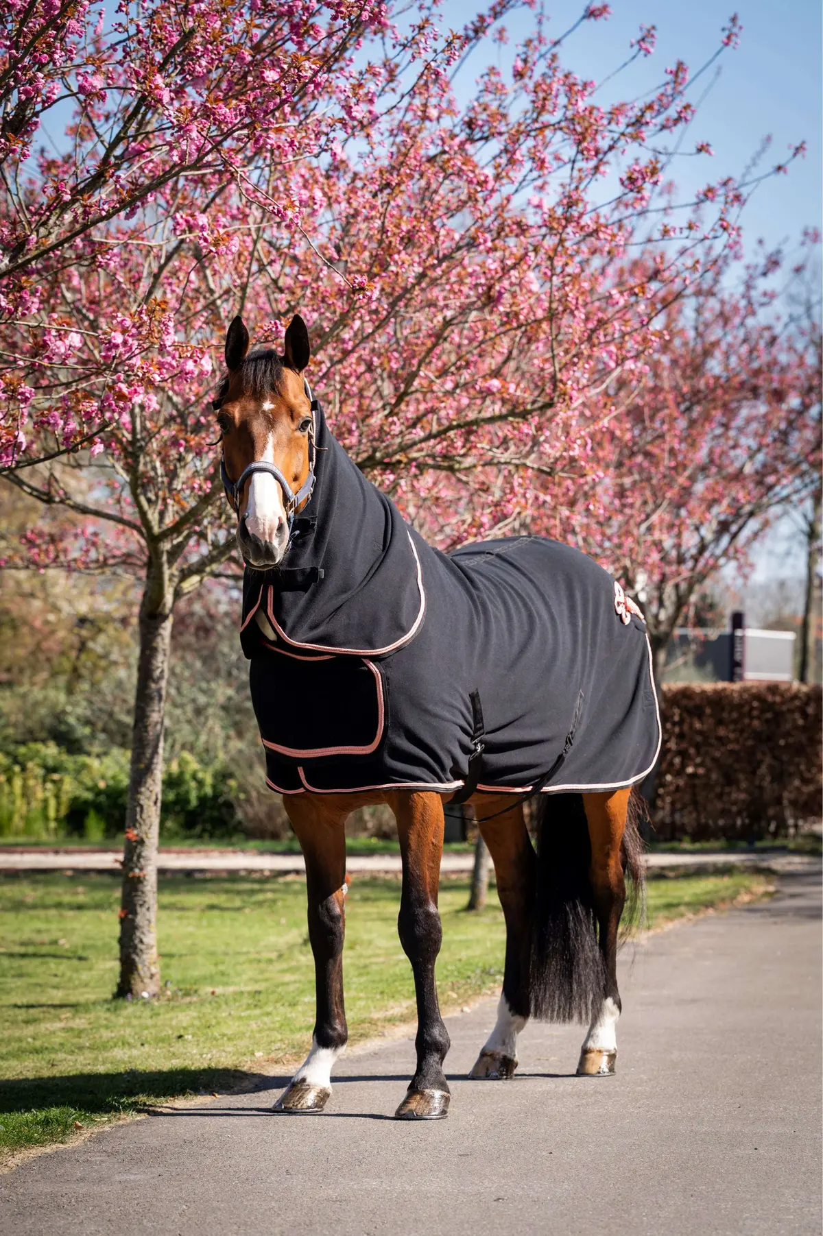 Hb Showdeken Showtime Rose Gold Met Hals Zwart 1