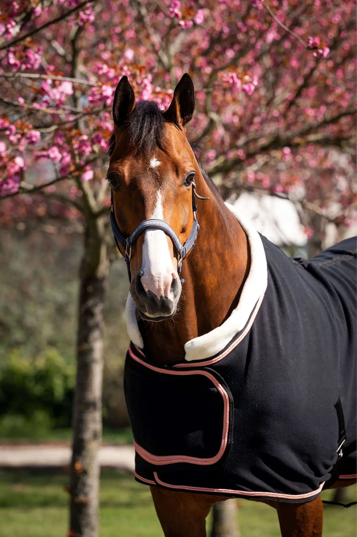 Hb Showdeken Showtime Rose Gold Zwart 1