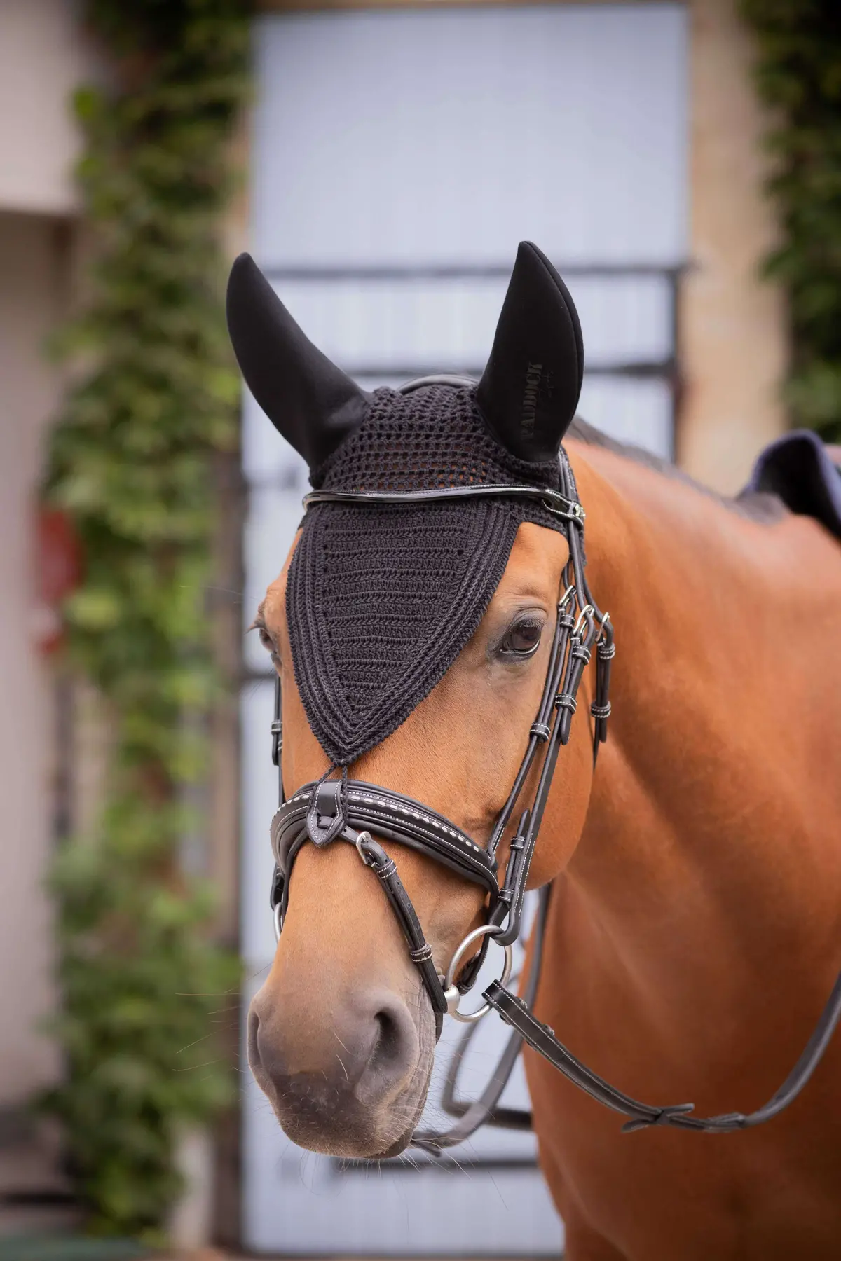 Paddock Oornetje Long Soundless Zwart 1