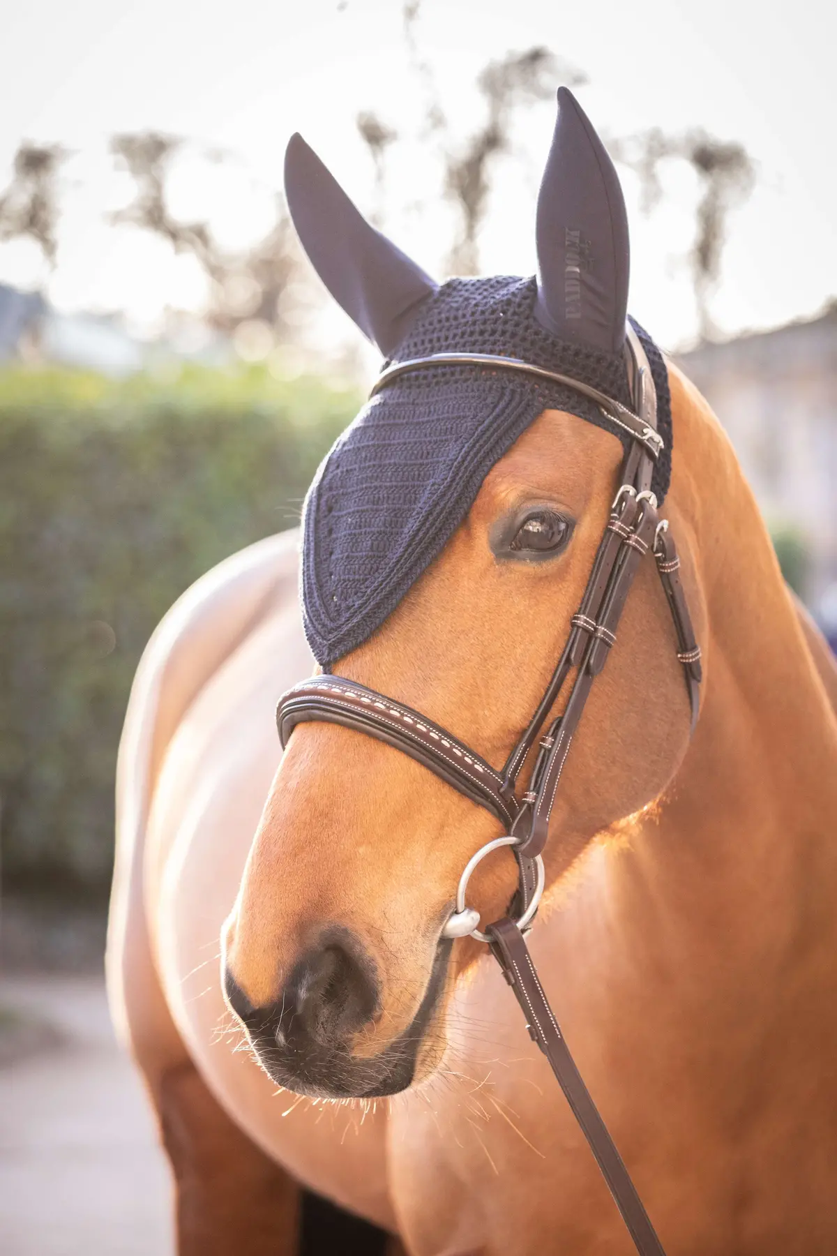 Paddock Oornetje Long Soundless Navy 1