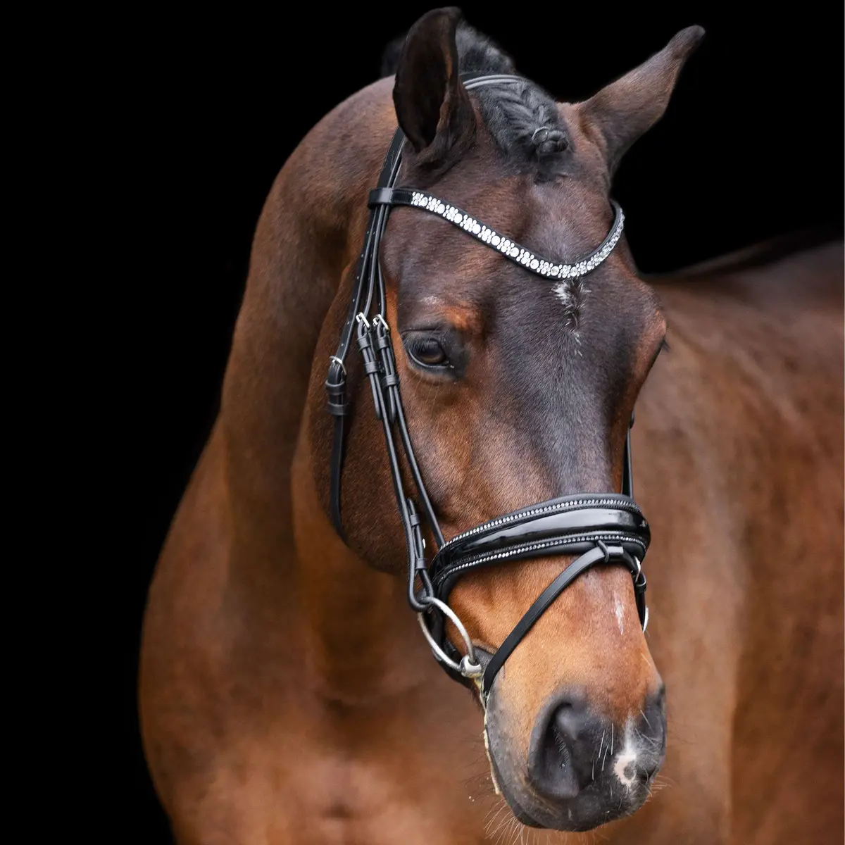 Imperial Riding Hoofdstel Irholympia Zwart/Zilver 1