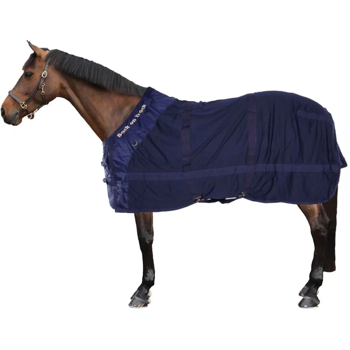 Back On Track Maasdeken Paard Blauw 1