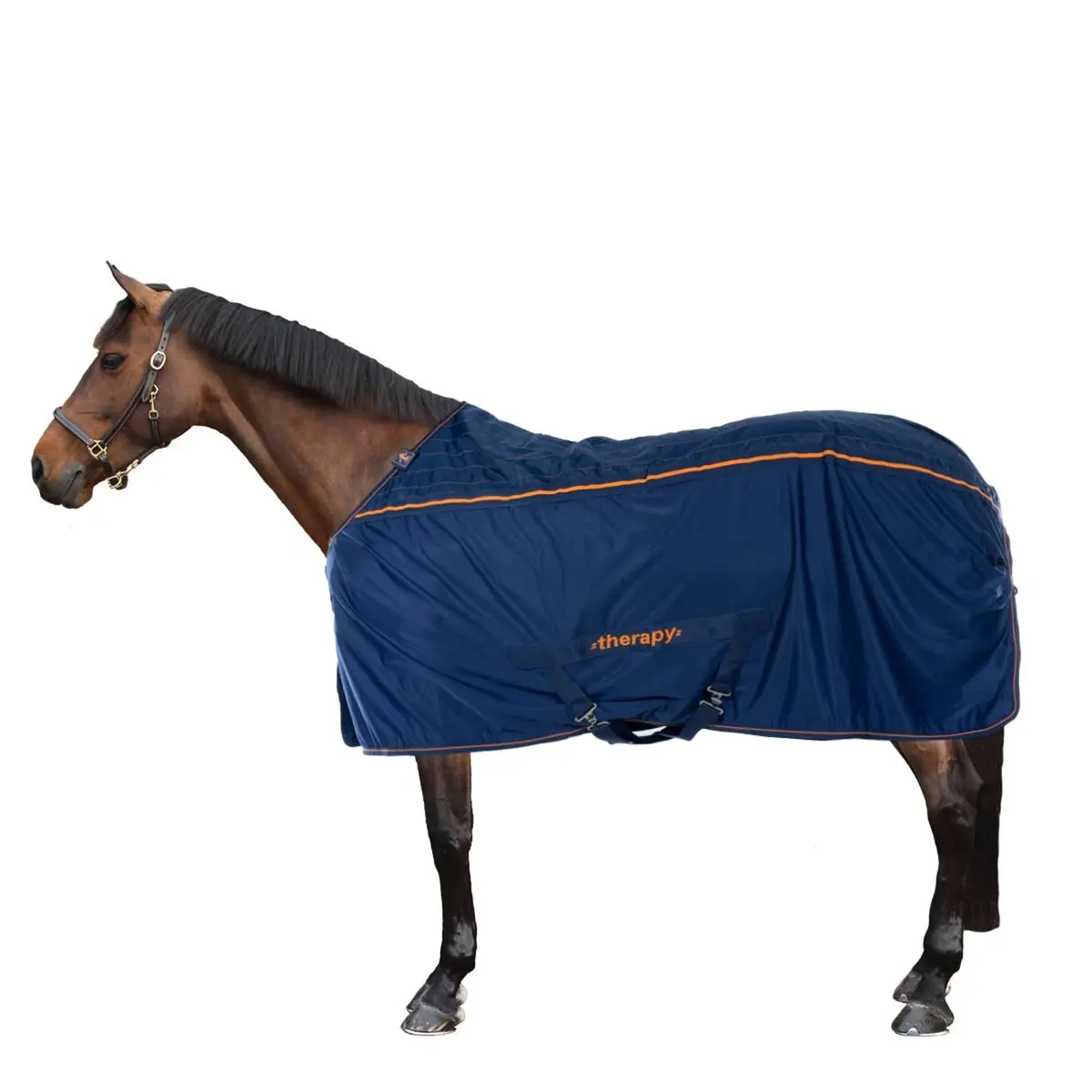 Bucas Therapy Cooler Navy/Orange 3