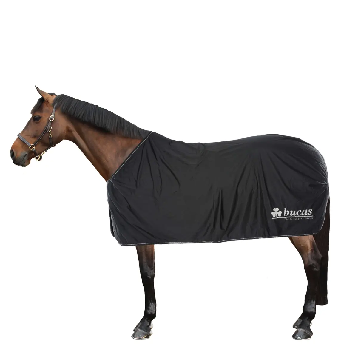 Bucas Prize Cooler Black/Silver 1