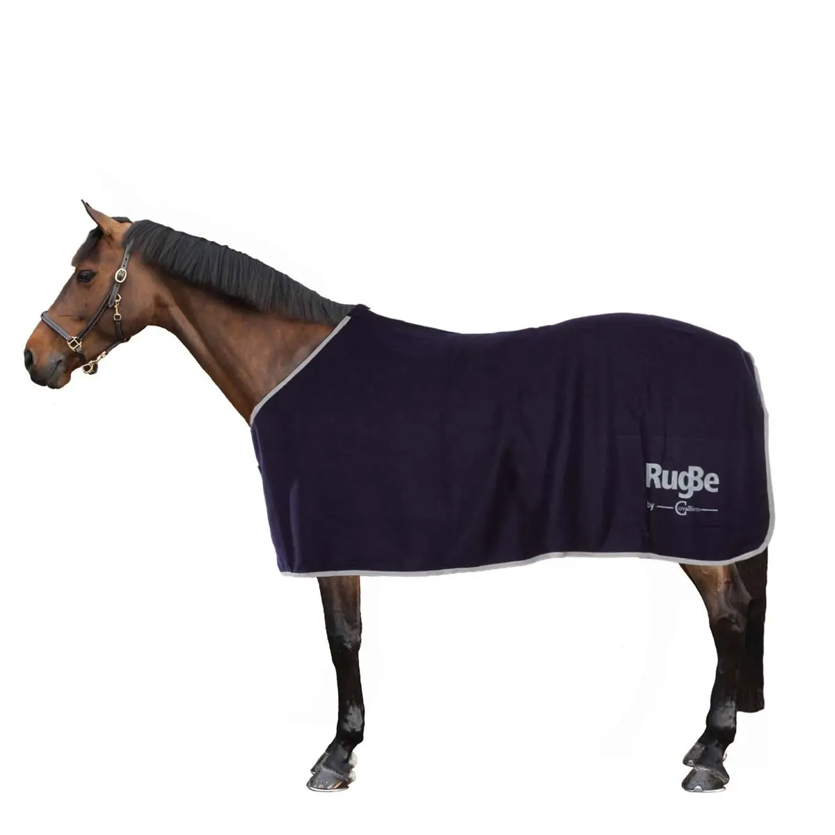 Rugbe By Covalliero Fleecedeken Economic Navy 1
