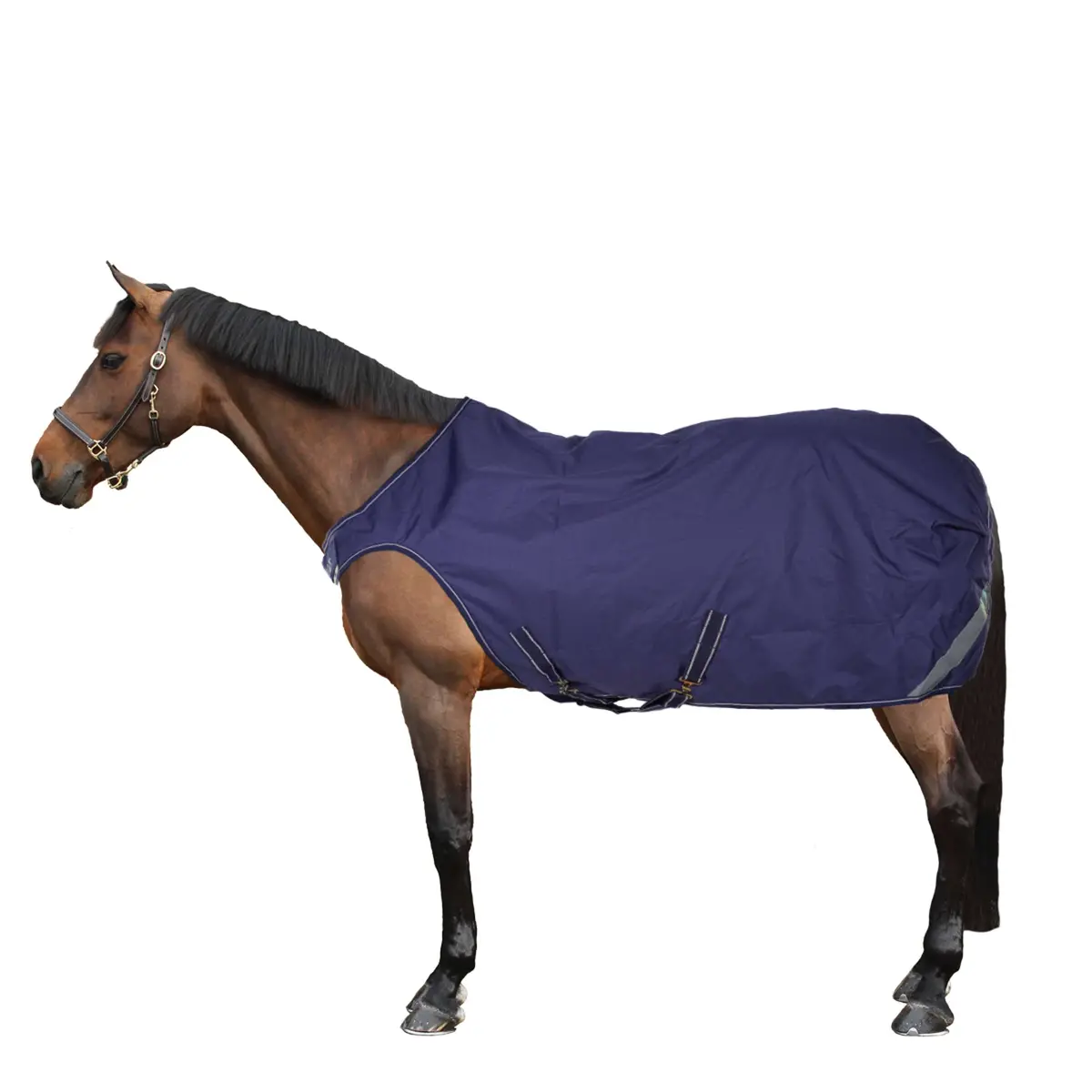 Bucas Walker Navy/Silver 1