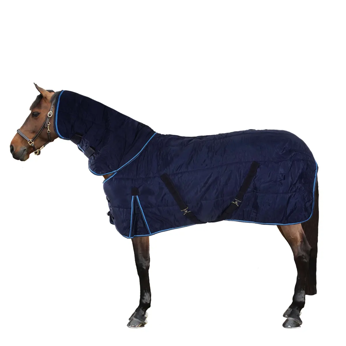 Riding World Staldeken Combo Blauw 1
