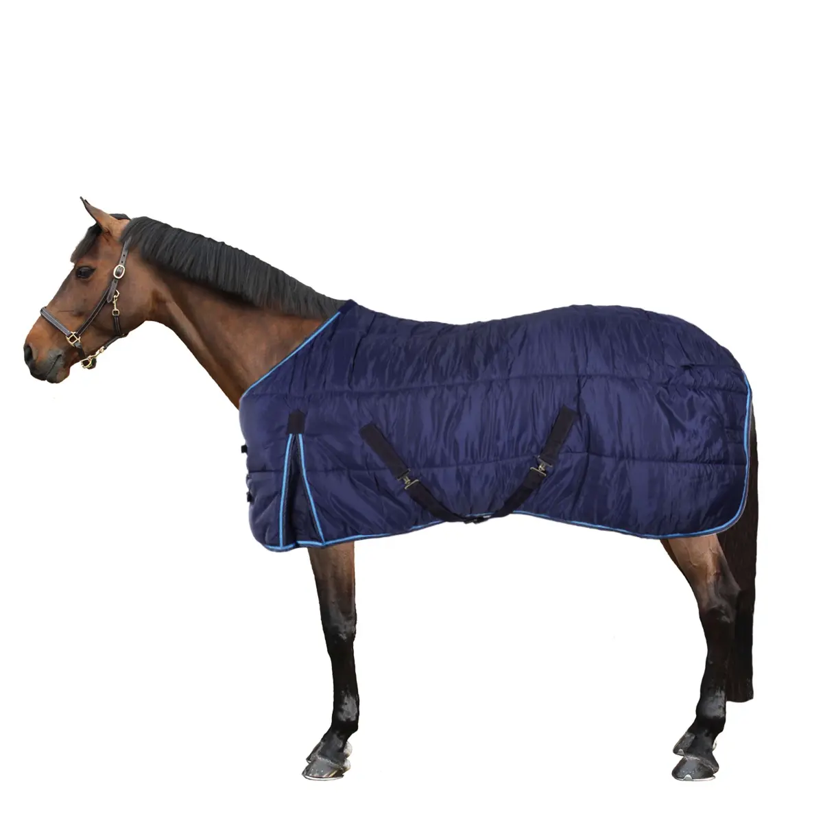 Riding World Staldeken Blauw 1