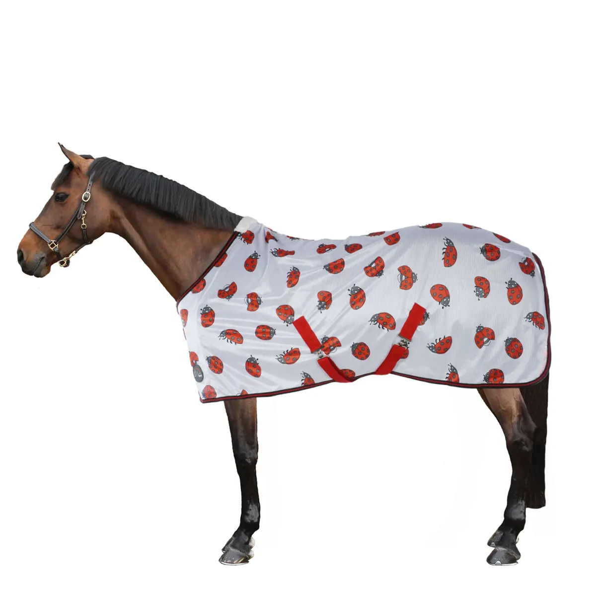 Hkm Vliegendeken Ladybug Wit/Rood 1