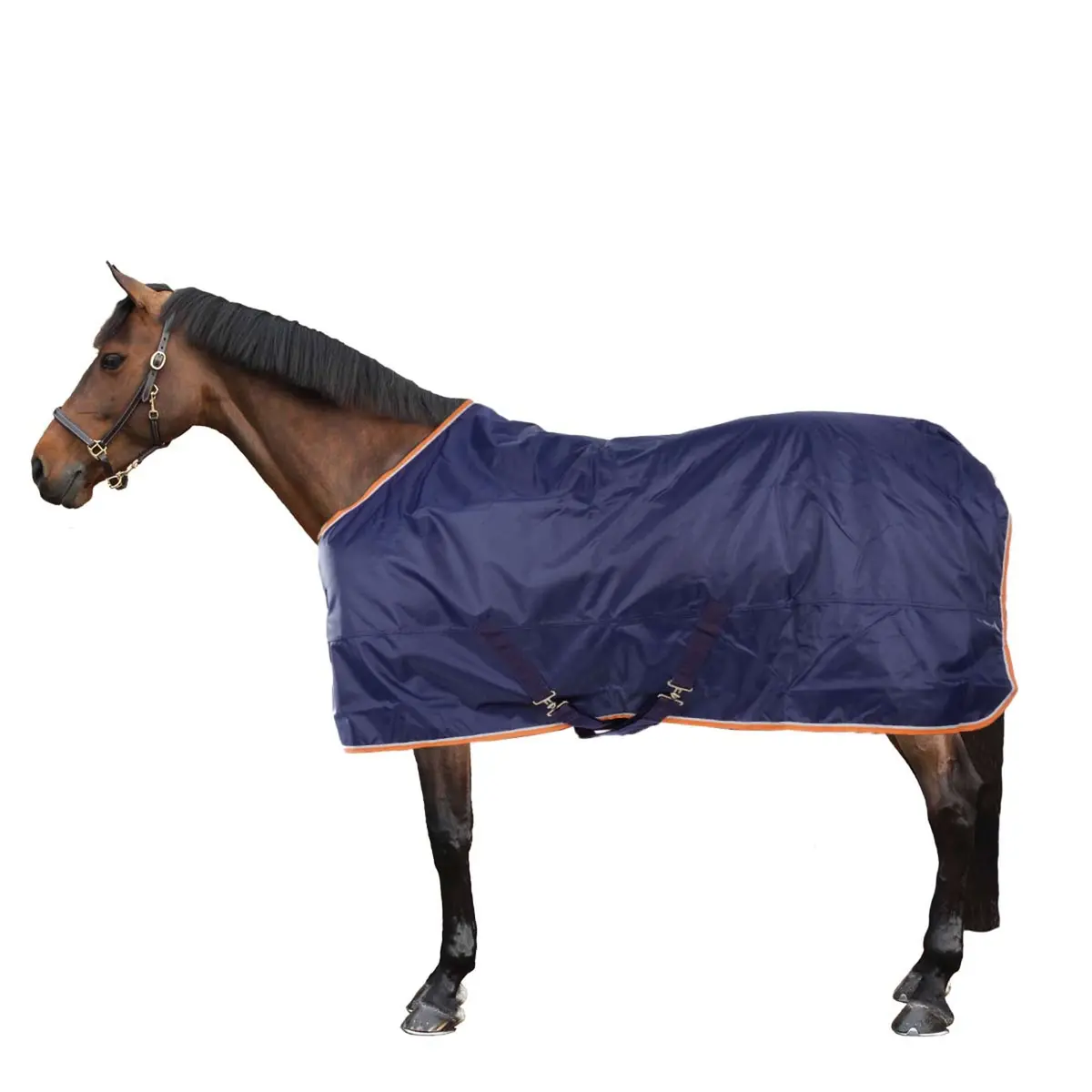 Tempest Winterdeken Turnout Typhoon 100G Navy 1