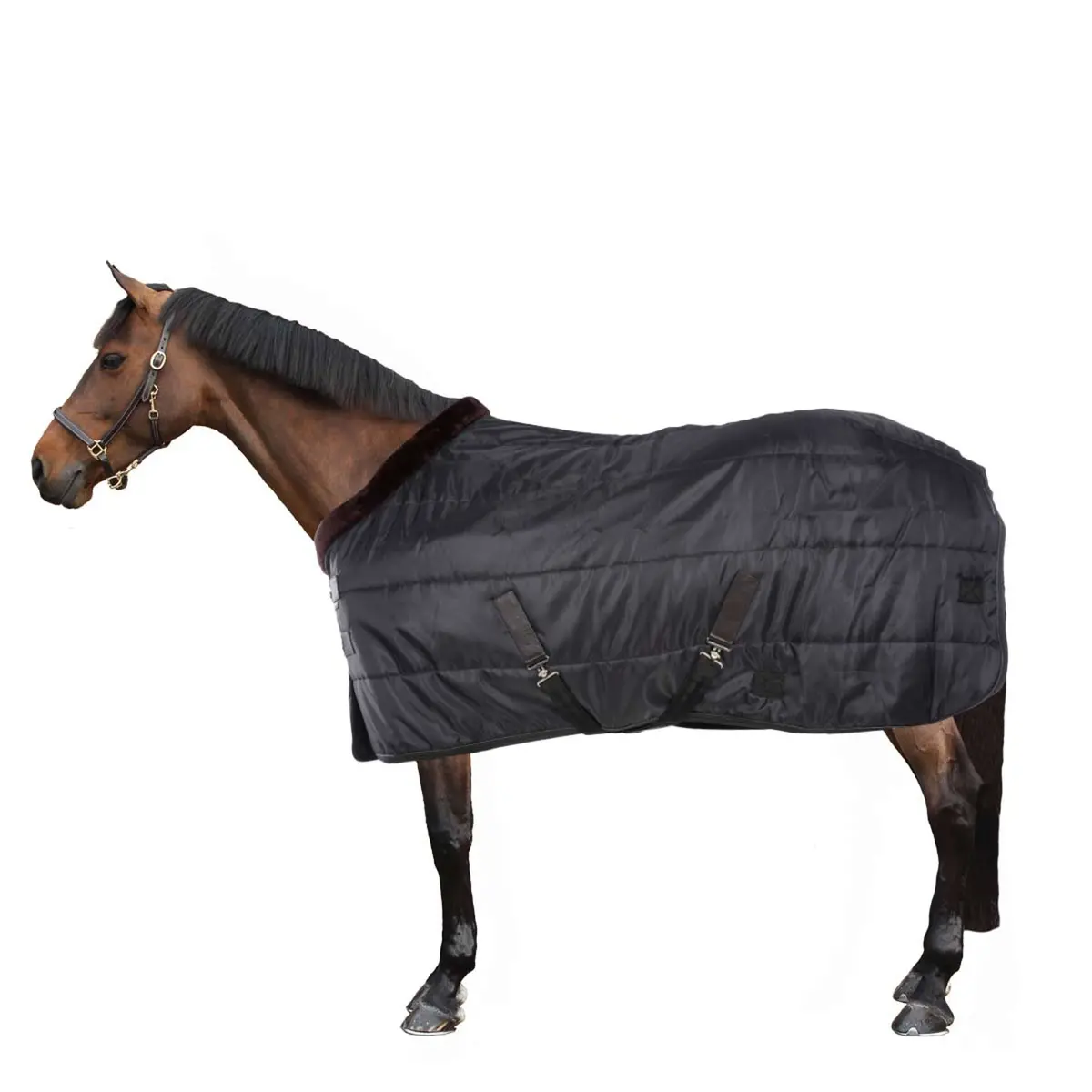 Equithème Staldeken Teddy 200G Zwart/Bruin 1