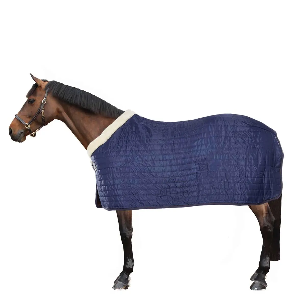 Equithème Staldeken Teddy Gevoerd Met Synthetisch Schapenvacht Navy 1
