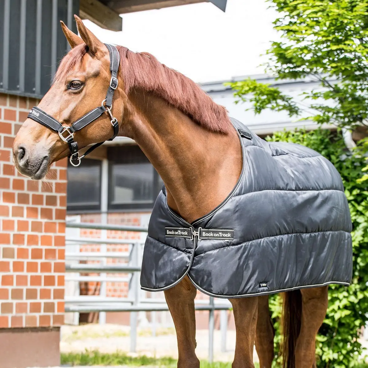 Back On Track Rhyolite Insulated Liner 200G Zwart 1