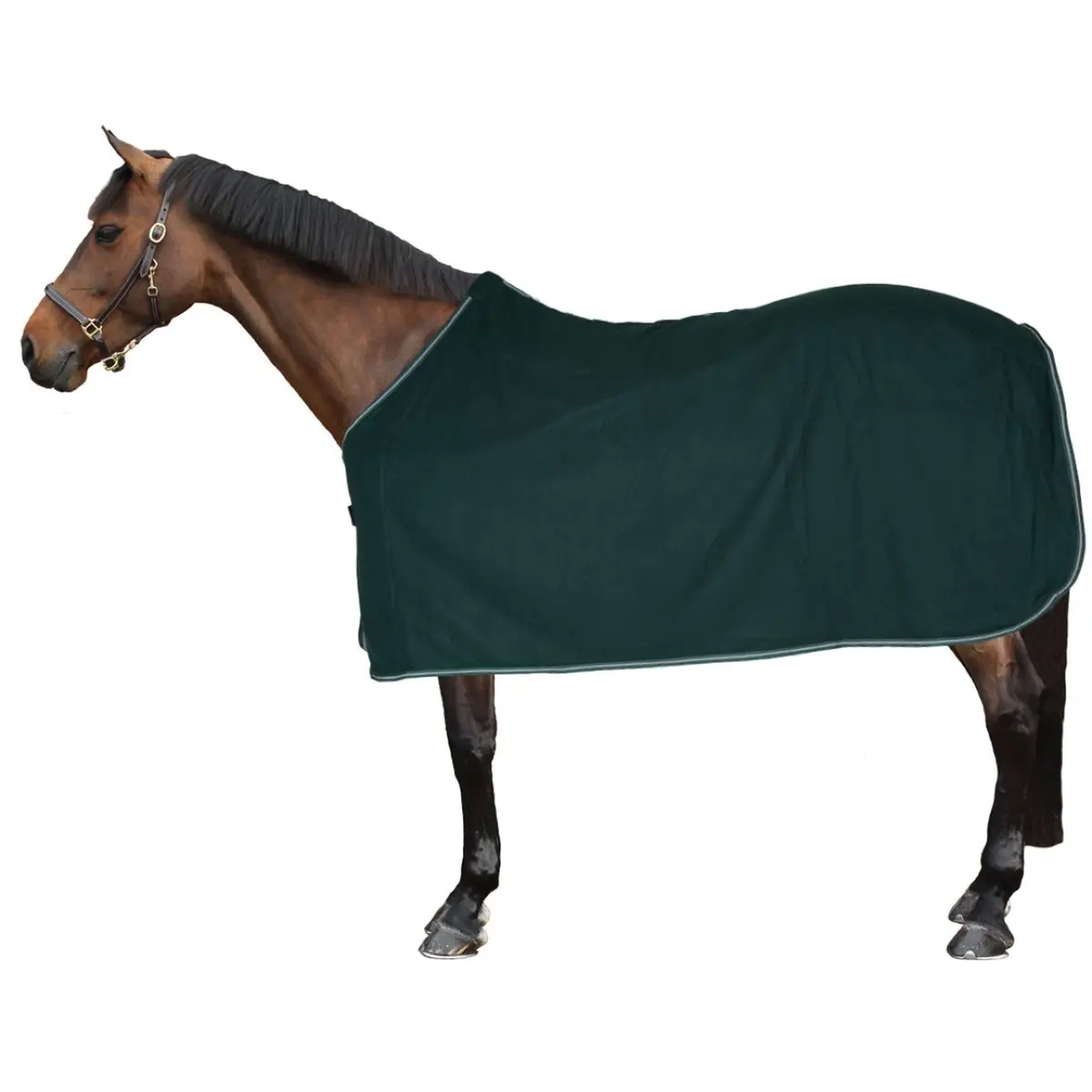 Horka Zweetdeken Economy Fleece Groen 1