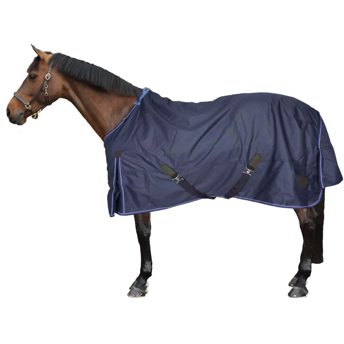 Equithème Regendeken Classic 1200D 50G Navy 2