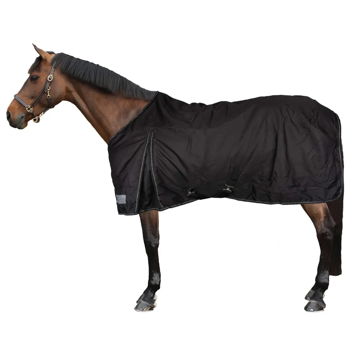 Waldhausen Outdoordeken Nordic 100G Zwart 2
