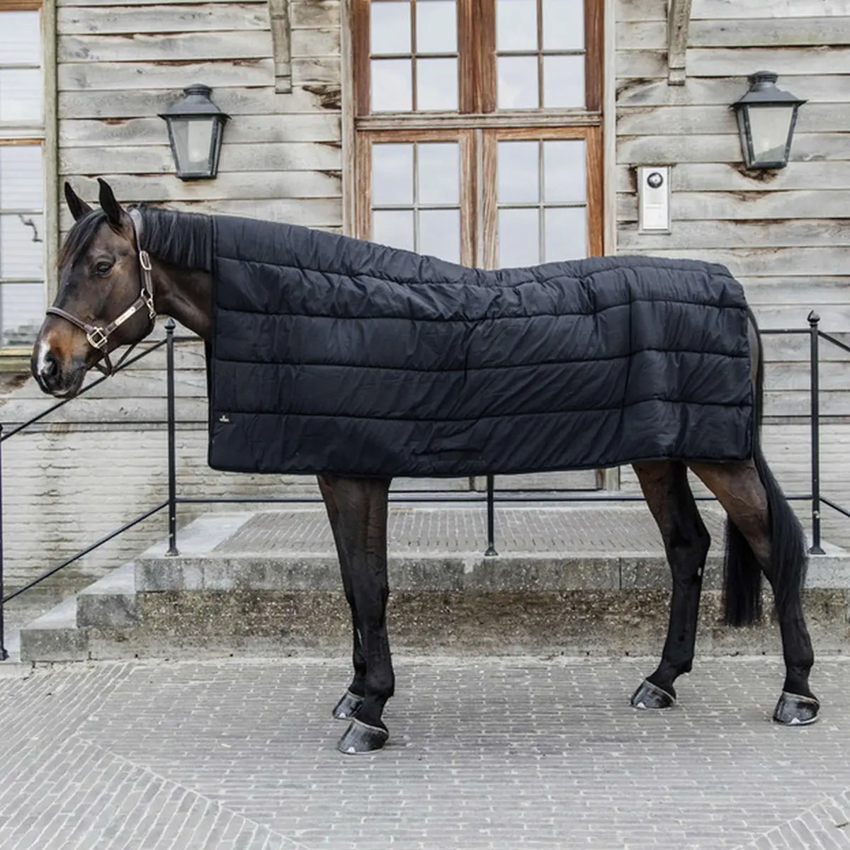 Kentucky Deken Horse Duvet 300G Zwart 1