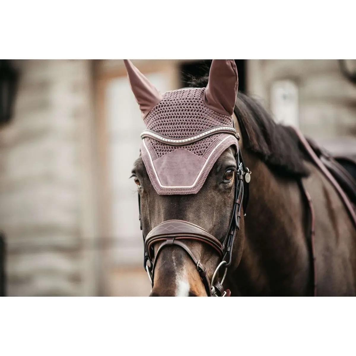 Kentucky Oornetje Wellington Velvet Lichtpaars 1