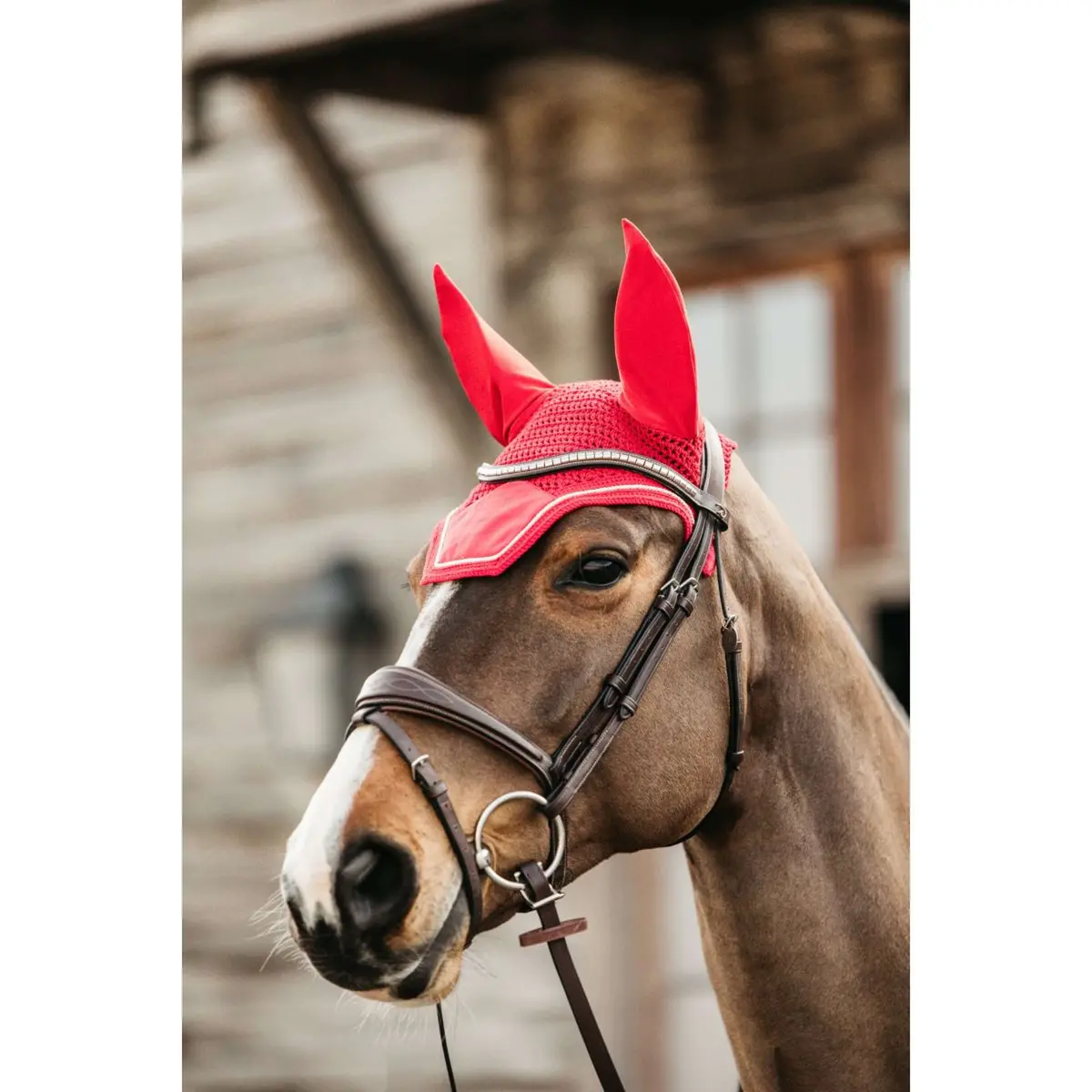 Kentucky Oornetje Wellington Velvet Rood 1