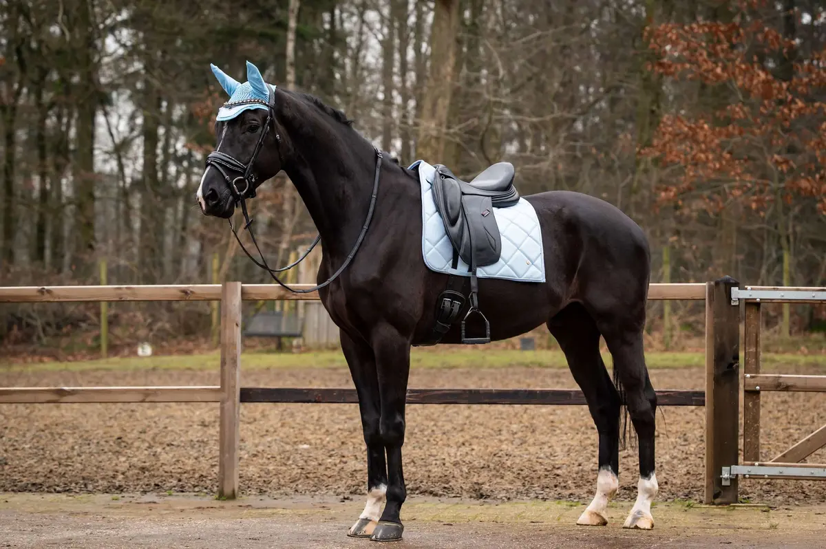 Hb Showtime Zadeldekje Spring Dressuur Lichtblauw 1