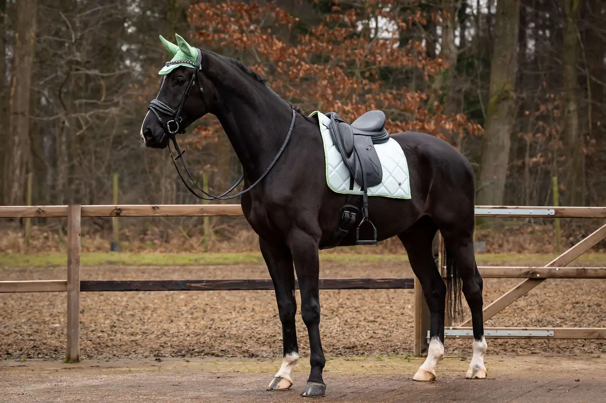 Hb Showtime Zadeldekje Spring Dressuur Mintgroen 1