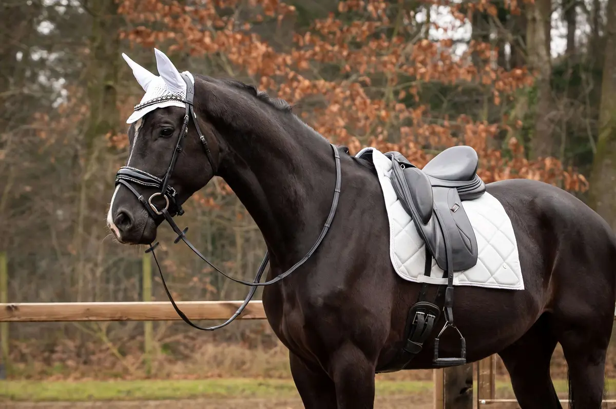 Hb Showtime Zadeldekje Spring Dressuur Zilver 1
