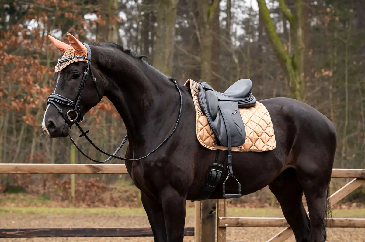 Hb Showtime Zadeldekje Rio Dressuur Beige 1