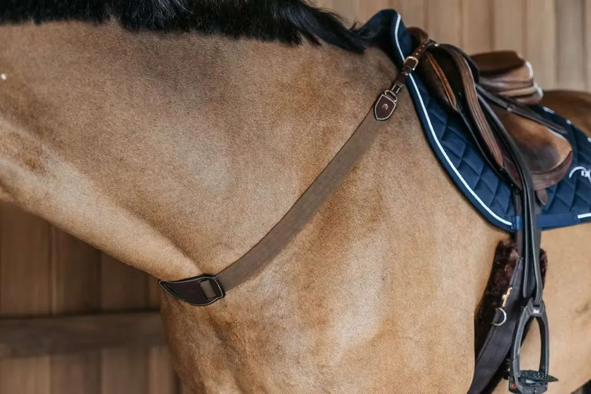 Dyon Borsttuig Elastic Bruin 1