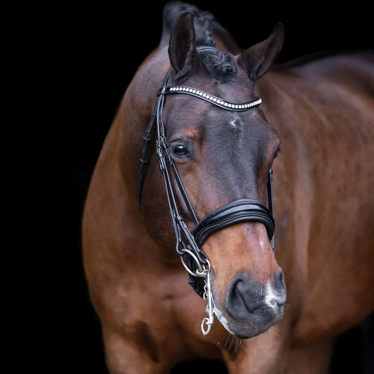 Imperial Riding Stang- En Trenshoofdstel Irhathena Zwart 1