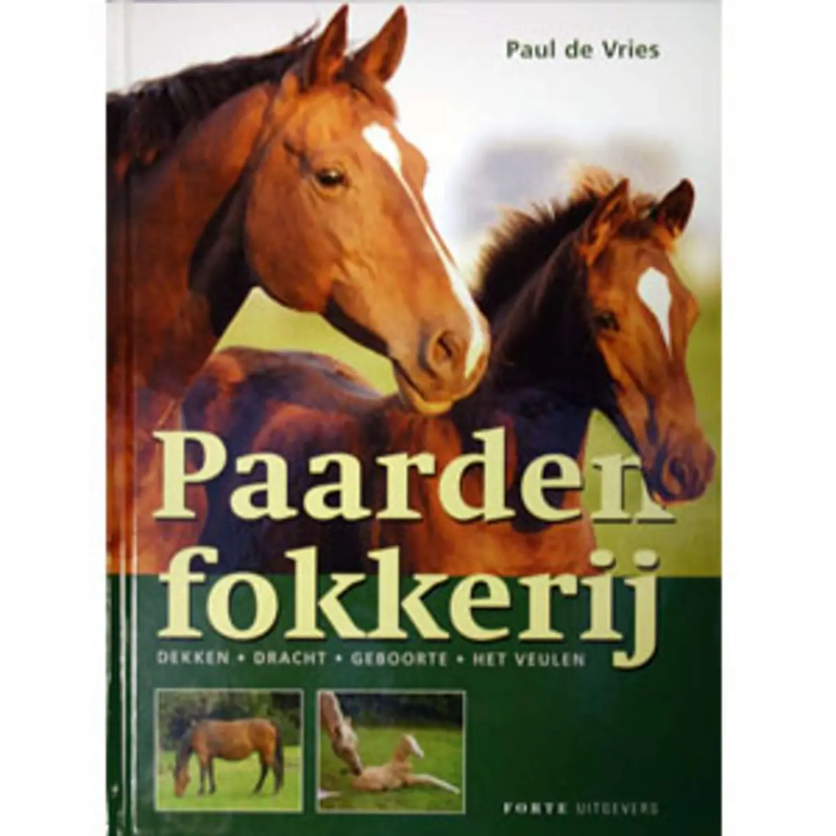 Paardenfokkerij 1
