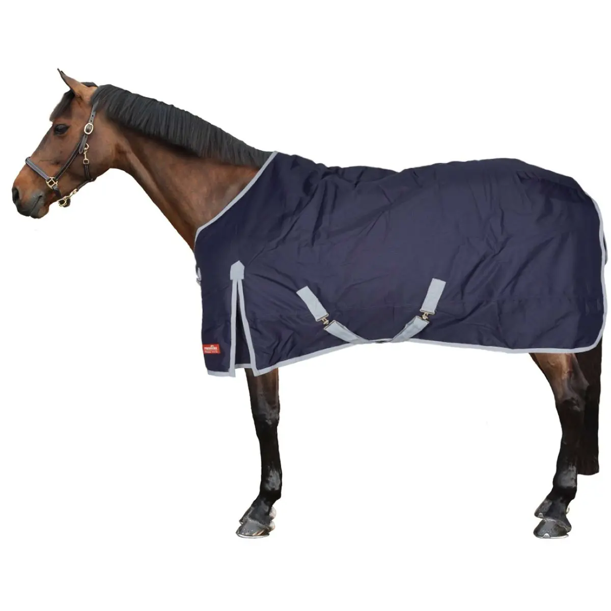 Premiere Outdoordeken Ayc 600D 300G Dress Blue 1