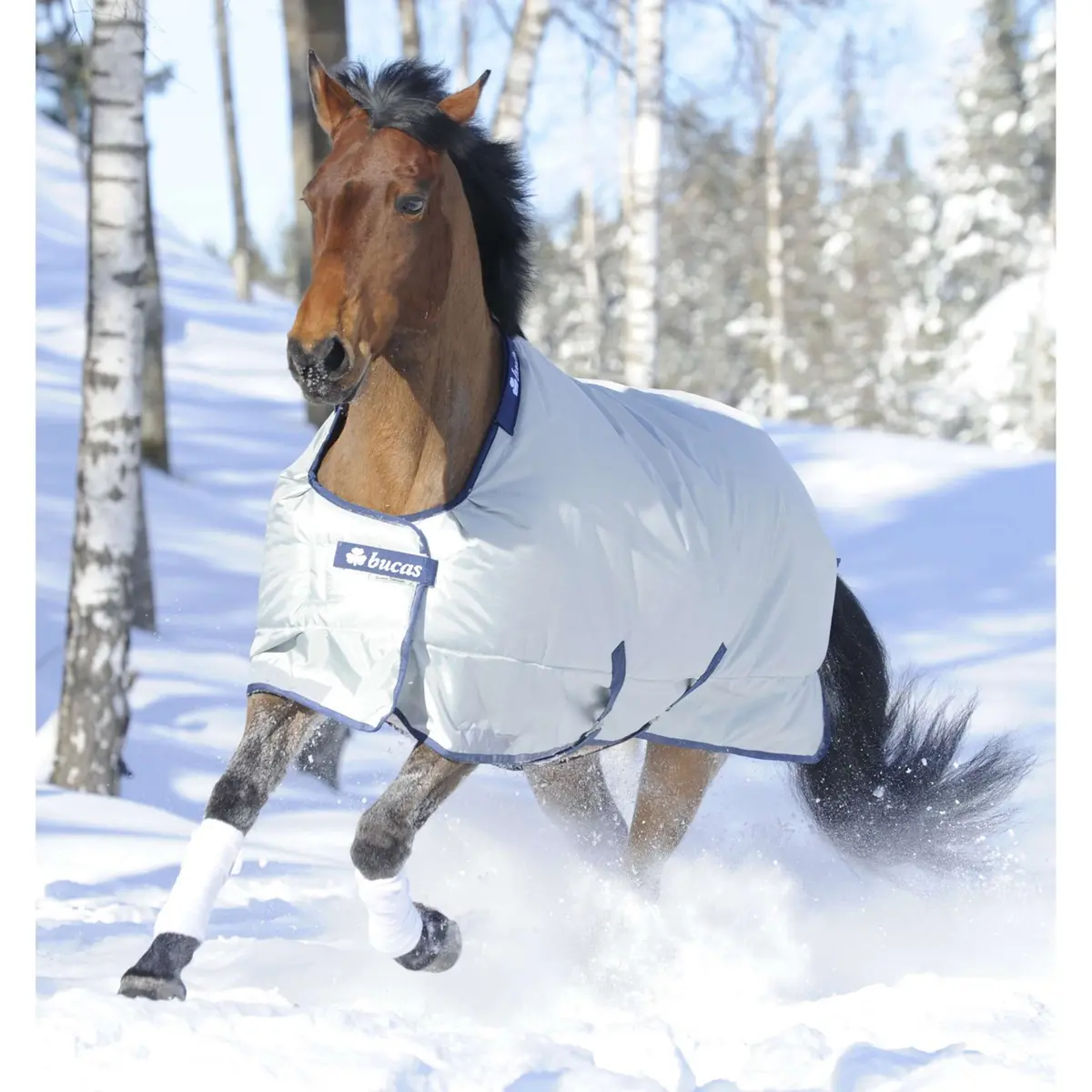 Bucas Power Turnout Extra Classic 300G Silver 1
