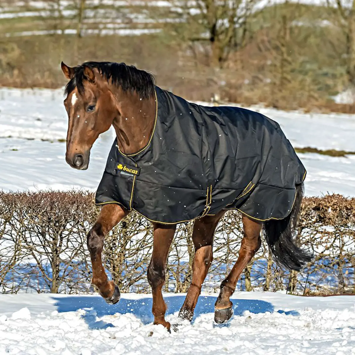 Bucas Irish Turnout Light Highneck 50G Black/Gold 1