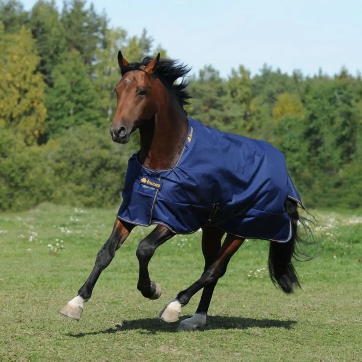Bucas Irish Turnout Light 50G Navy/Gold 1