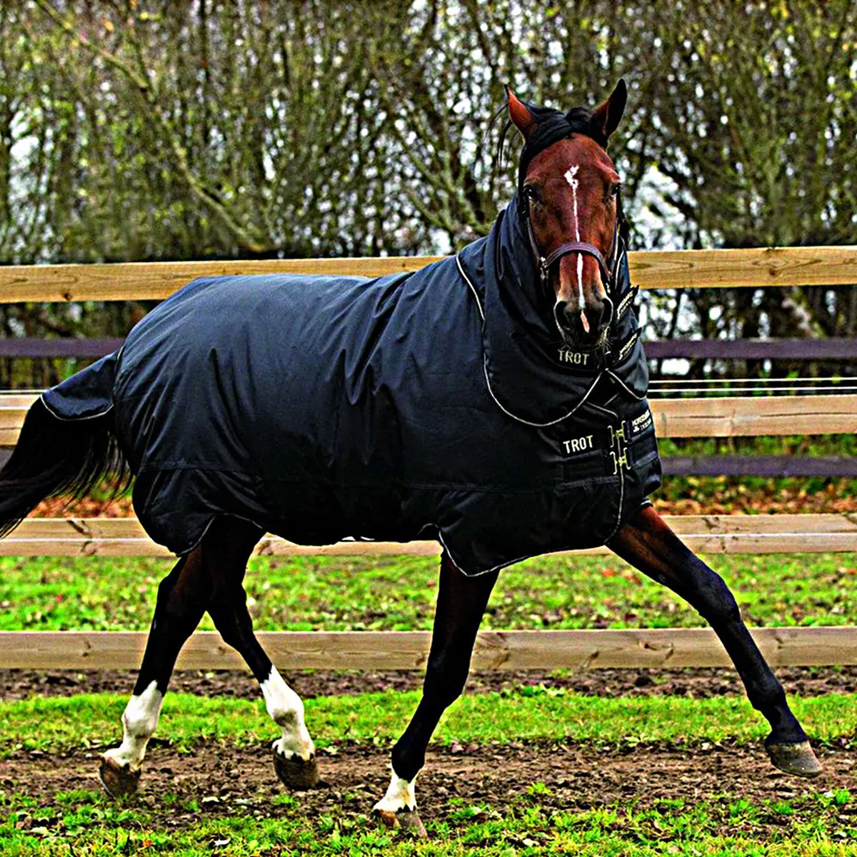 Horseware Trot Plus Heavy 350G Black Tan 1