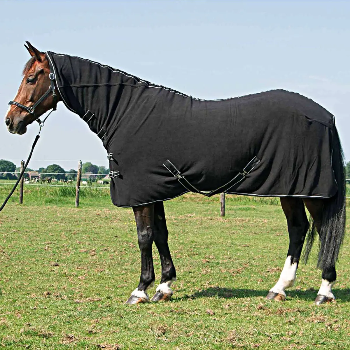 Harry's Horse Fleecedeken Met Hals Zwart 1