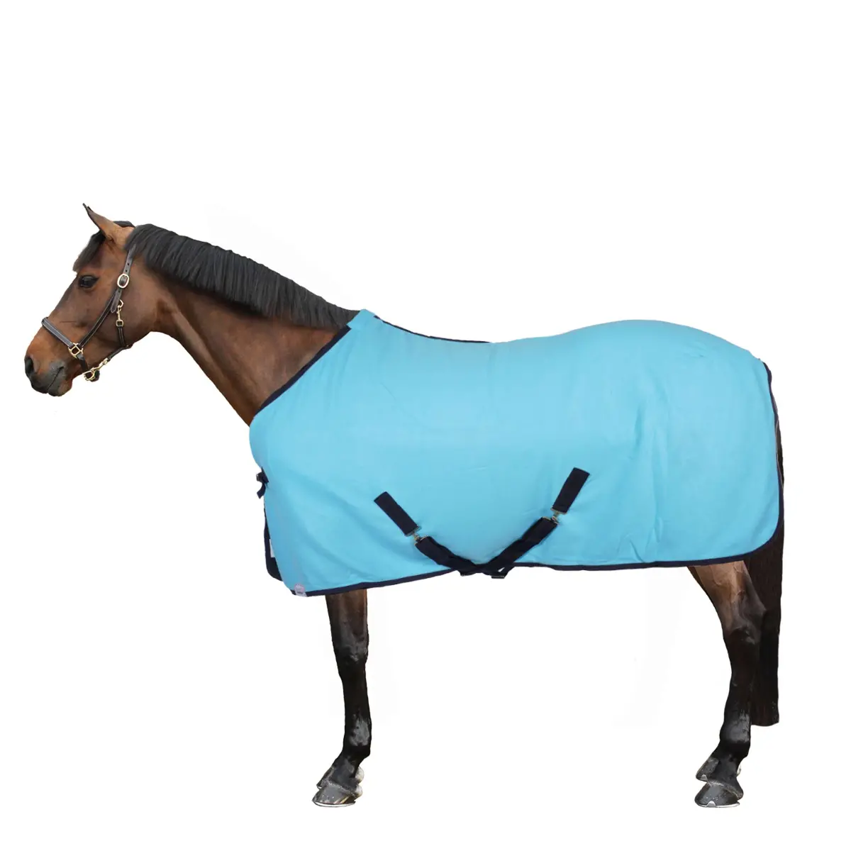 Harry's Horse Fleecedeken Colours Turquoise 1