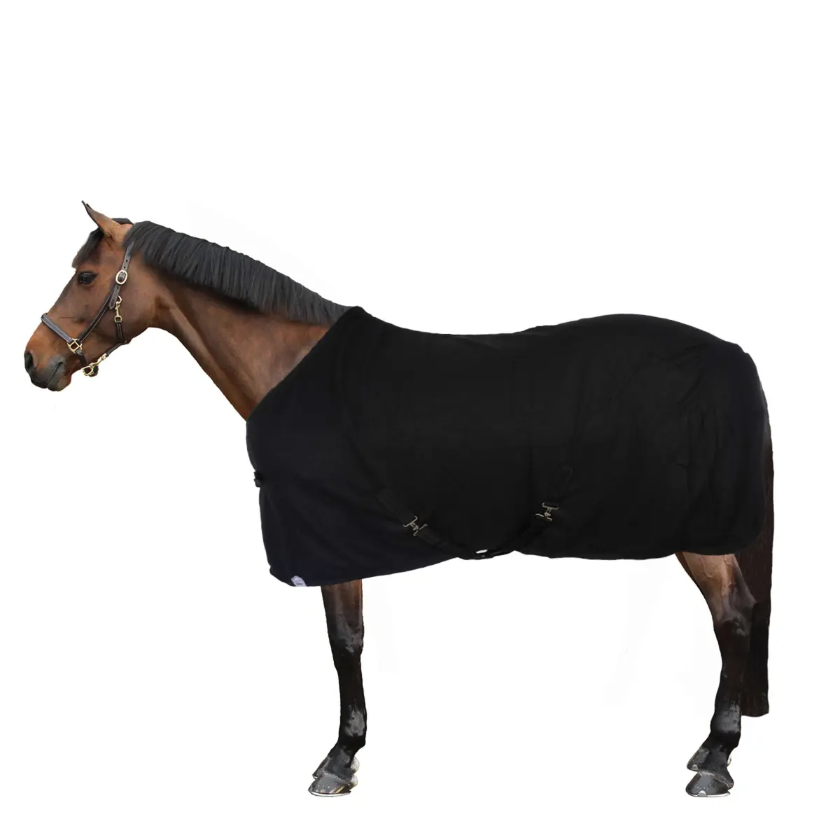 Harry's Horse Fleecedeken Colours Zwart 1