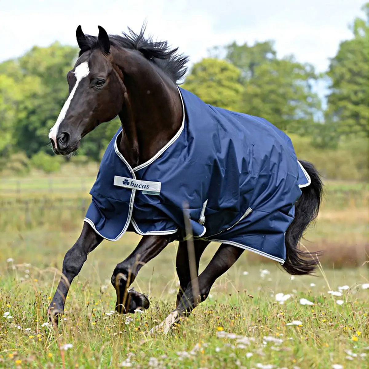 Bucas Freedom Turnout Light 0G Navy 1