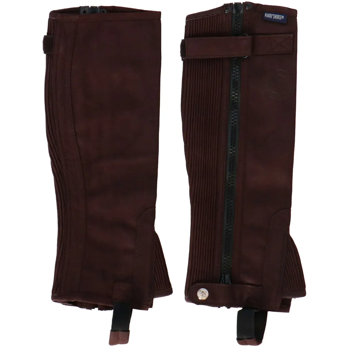 Harry's Horse Chaps Amara Bruin 1