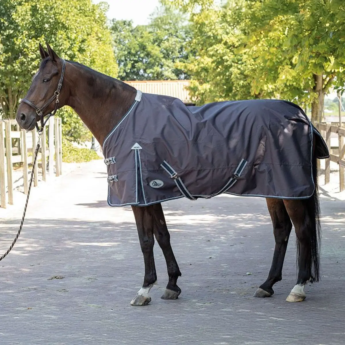 Harry's Horse Buitendeken Thor 0G Ebony 1