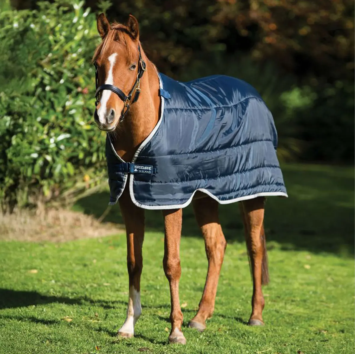 Horseware Liner Pony 300G Navy/Silver 1