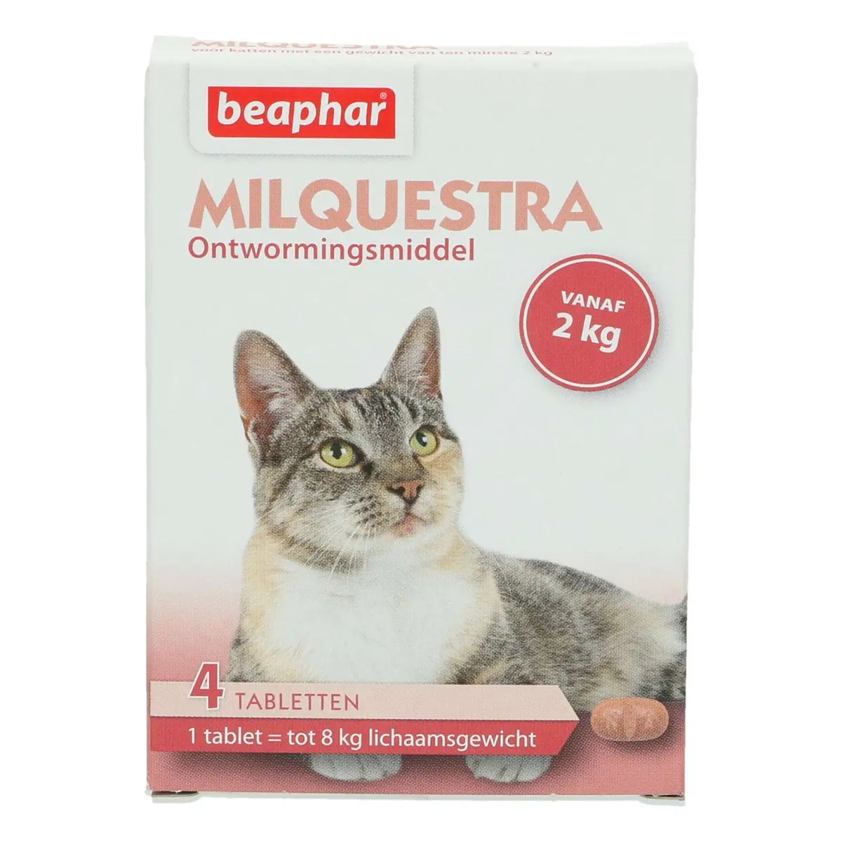 Beaphar Milquestra Kat 2-12Kg 1