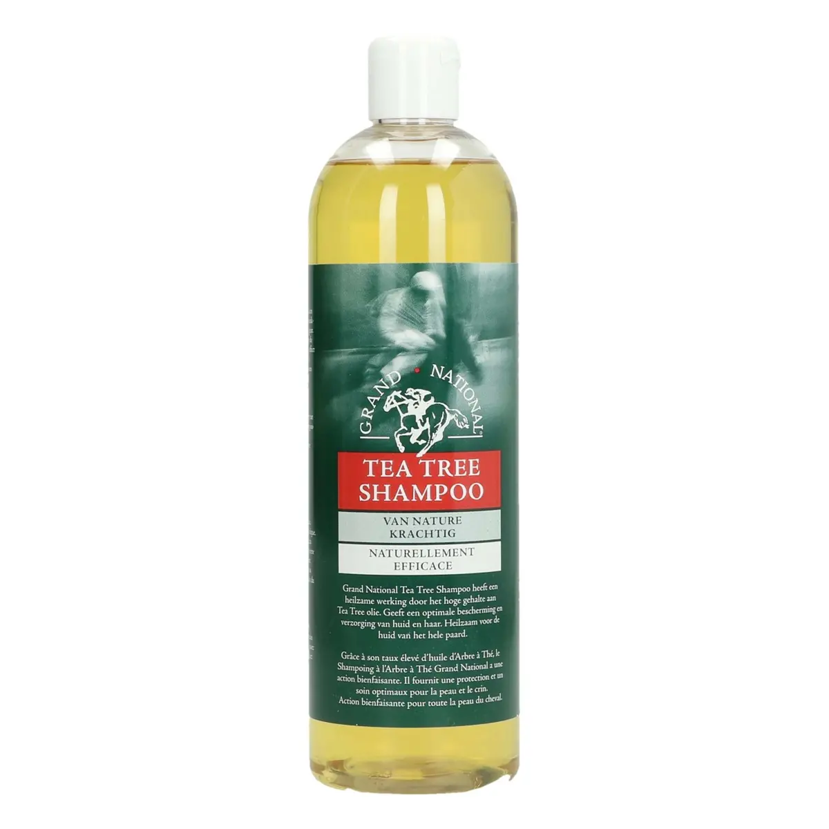 Grand National Tea Tree Shampoo 1